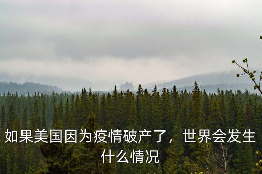 如果美國(guó)因?yàn)橐咔槠飘a(chǎn)了，世界會(huì)發(fā)生什么情況