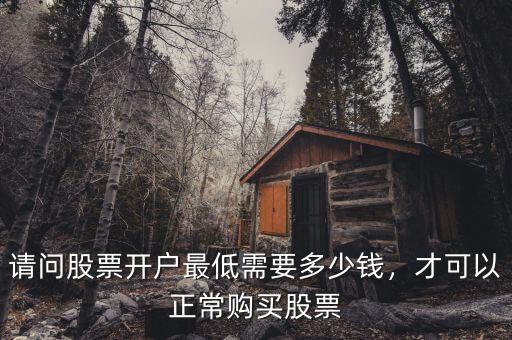 請(qǐng)問股票開戶最低需要多少錢，才可以正常購買股票