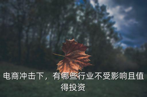 電商沖擊下，有哪些行業(yè)不受影響且值得投資