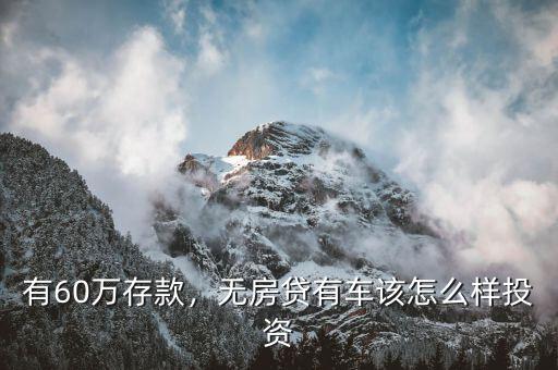 有60萬存款，無房貸有車該怎么樣投資