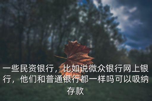 一些民資銀行，比如說微眾銀行網(wǎng)上銀行，他們和普通銀行都一樣嗎可以吸納存款