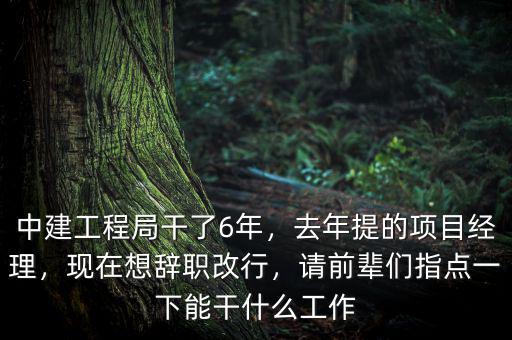中建工程局干了6年，去年提的項(xiàng)目經(jīng)理，現(xiàn)在想辭職改行，請前輩們指點(diǎn)一下能干什么工作