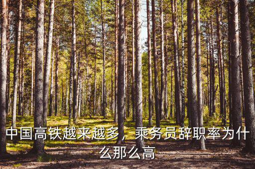中國高鐵越來越多，乘務員辭職率為什么那么高