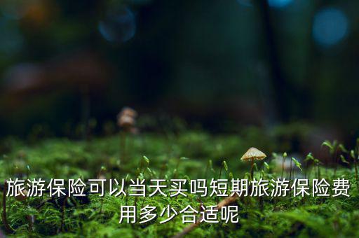 旅游保險可以當(dāng)天買嗎短期旅游保險費(fèi)用多少合適呢
