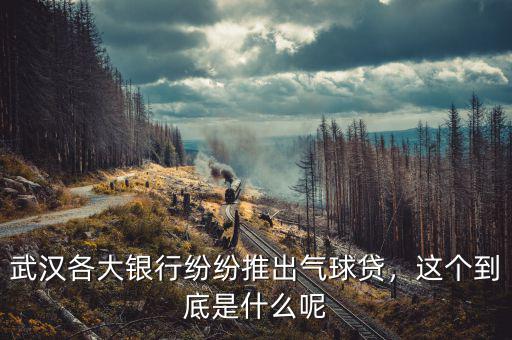 武漢各大銀行紛紛推出氣球貸，這個(gè)到底是什么呢