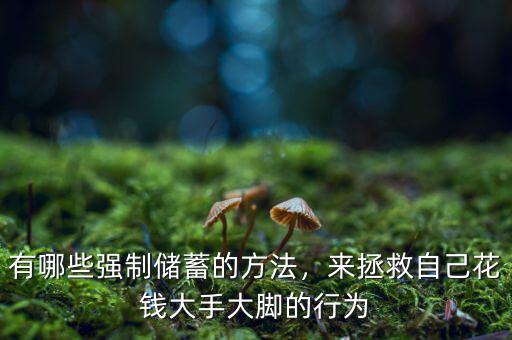 有哪些強(qiáng)制儲(chǔ)蓄的方法，來(lái)拯救自己花錢大手大腳的行為