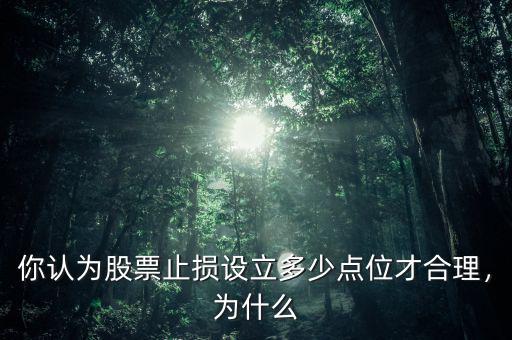 你認為股票止損設立多少點位才合理，為什么
