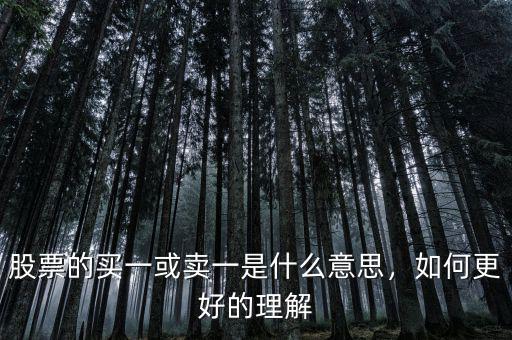 股票的買一或賣一是什么意思，如何更好的理解