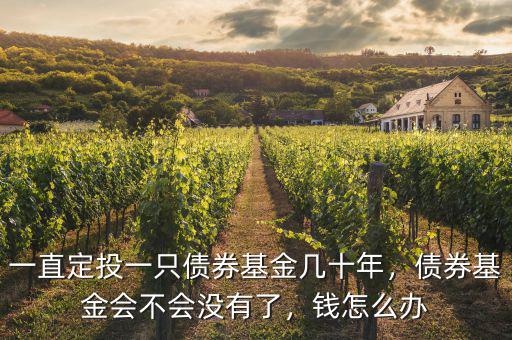 一直定投一只債券基金幾十年，債券基金會(huì)不會(huì)沒(méi)有了，錢怎么辦
