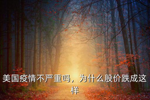 美國疫情不嚴重嗎，為什么股價跌成這樣