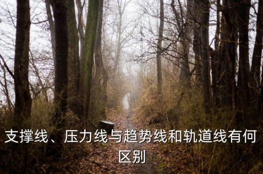 支撐線(xiàn)、壓力線(xiàn)與趨勢(shì)線(xiàn)和軌道線(xiàn)有何區(qū)別