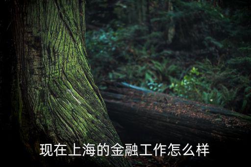 上?；バ沤鹑谠趺礃?上海立信會計金融學(xué)院怎么樣