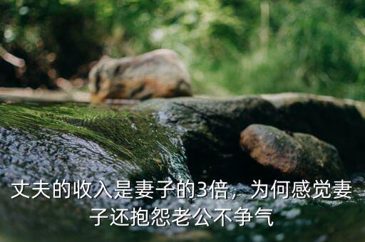 丈夫的收入是妻子的3倍，為何感覺妻子還抱怨老公不爭(zhēng)氣