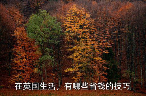 在英國(guó)生活，有哪些省錢的技巧