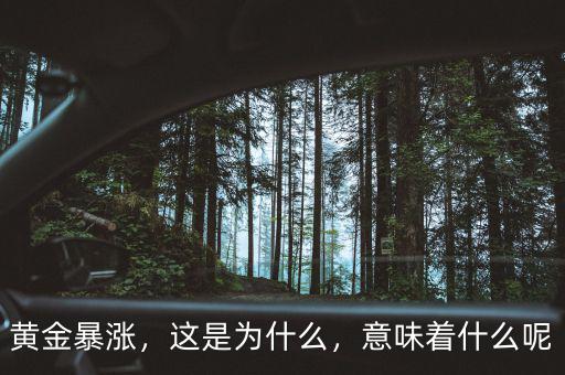 黃金暴漲，這是為什么，意味著什么呢