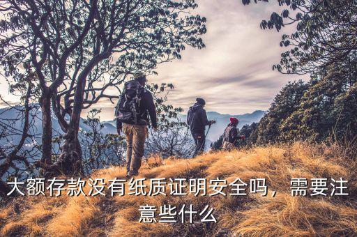 大額存款沒(méi)有紙質(zhì)證明安全嗎，需要注意些什么