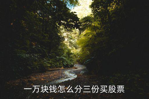 1萬(wàn)元怎么炒股,一萬(wàn)塊錢(qián)怎么分三份買(mǎi)股票