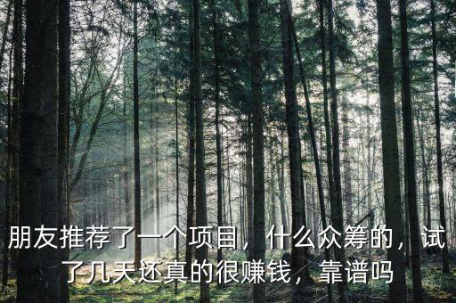 朋友推薦了一個項目，什么眾籌的，試了幾天還真的很賺錢，靠譜嗎