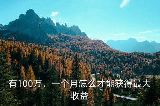 有100萬，一個月怎么才能獲得最大收益