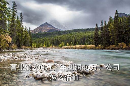 營業(yè)額200萬，年利潤40萬，公司怎么估值
