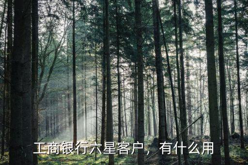 工商銀行六星客戶，有什么用