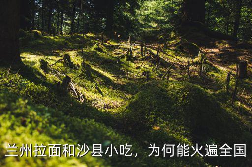 蘭州拉面和沙縣小吃，為何能火遍全國(guó)