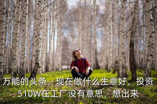 萬能的頭條，現在做什么生意好，投資510W在工廠沒有意思，想出來
