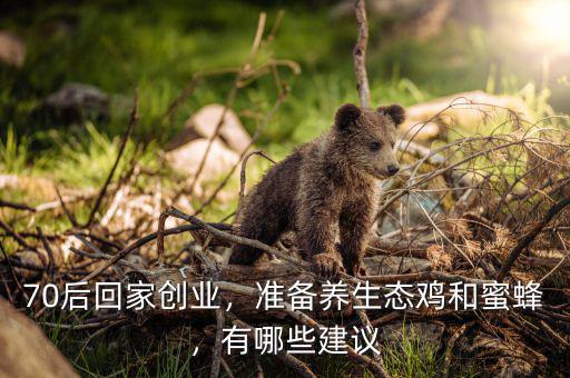 70后回家創(chuàng)業(yè)，準備養(yǎng)生態(tài)雞和蜜蜂，有哪些建議