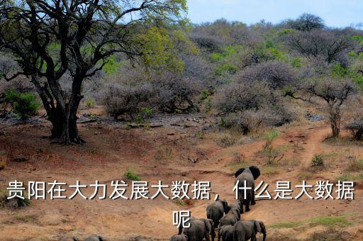 貴陽在大力發(fā)展大數(shù)據(jù)，什么是大數(shù)據(jù)呢