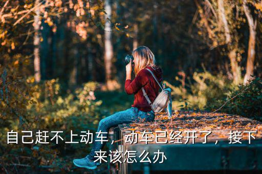自己趕不上動車，動車已經(jīng)開了，接下來該怎么辦