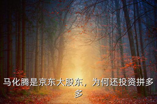 馬化騰是京東大股東，為何還投資拼多多