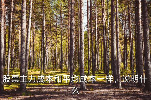 股票主力成本和平均成本一樣，說明什么