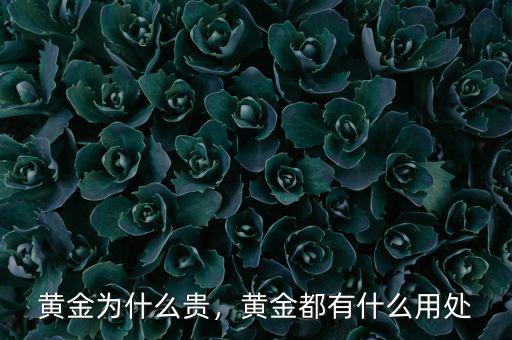 黃金為什么貴，黃金都有什么用處