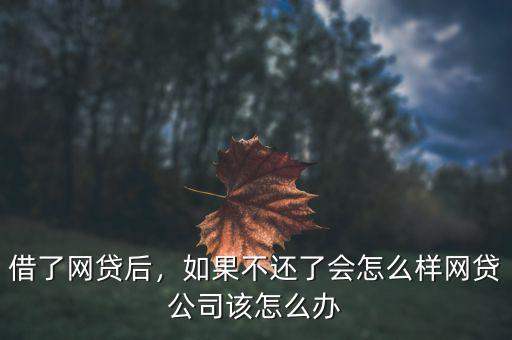 借了網(wǎng)貸后，如果不還了會怎么樣網(wǎng)貸公司該怎么辦