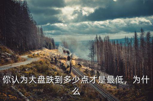 你認(rèn)為大盤跌到多少點(diǎn)才是最低，為什么