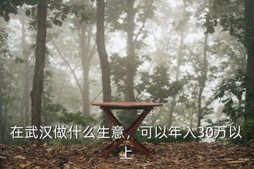 在武漢做什么生意，可以年入30萬以上
