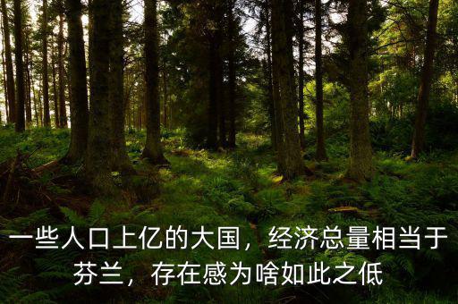 一些人口上億的大國，經(jīng)濟總量相當于芬蘭，存在感為啥如此之低