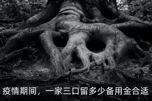 疫情期間，一家三口留多少備用金合適