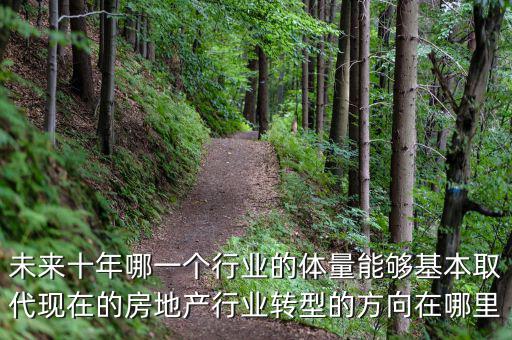 未來十年哪一個行業(yè)的體量能夠基本取代現在的房地產行業(yè)轉型的方向在哪里