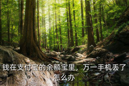 錢在支付寶的余額寶里，萬一手機(jī)丟了怎么辦