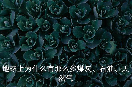 地球上為什么有那么多煤炭、石油、天然氣