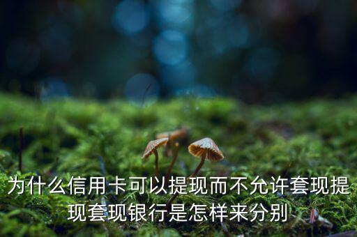 為什么不允許信用卡套現,套現卻是違法