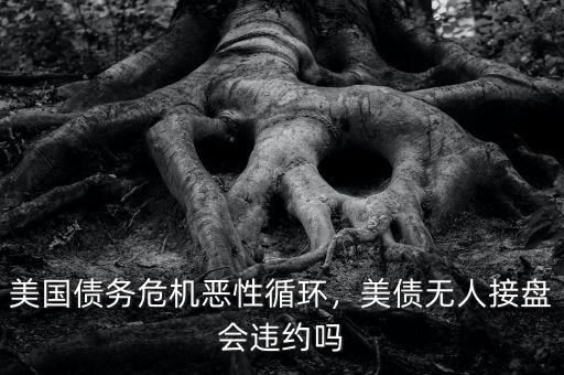 美國債務(wù)危機(jī)惡性循環(huán)，美債無人接盤會違約嗎