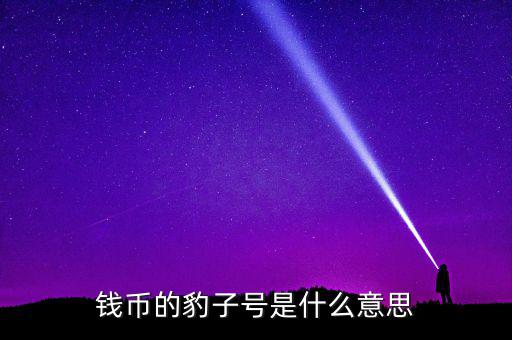 錢(qián)幣的豹子號(hào)是什么意思