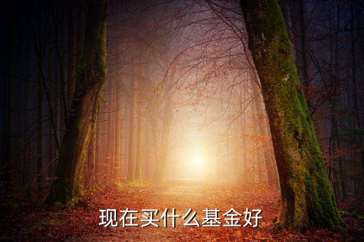 現(xiàn)在什么基金可以買(mǎi),現(xiàn)在買(mǎi)什么基金好