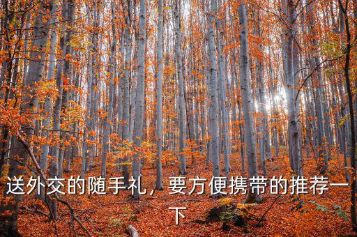 送外交的隨手禮，要方便攜帶的推薦一下