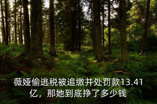 范冰冰一年收入多少錢(qián),明星一年的收入是多少