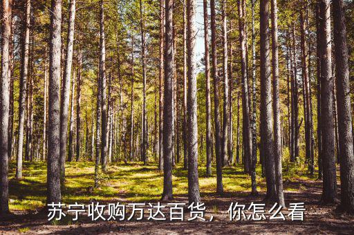 蘇寧要駐入萬達(dá)百貨什么時(shí)候招聘,蘇寧收購(gòu)萬達(dá)百貨