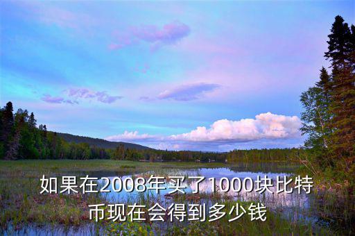 如果在2008年買了1000塊比特幣現(xiàn)在會(huì)得到多少錢