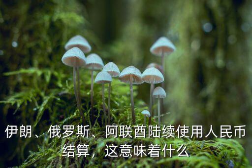 伊朗、俄羅斯、阿聯(lián)酋陸續(xù)使用人民幣結(jié)算，這意味著什么